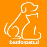 Logo of Best For Pets tienda mascotas android Application 