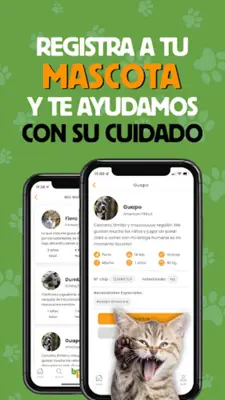 Best For Pets tienda mascotas android App screenshot 3